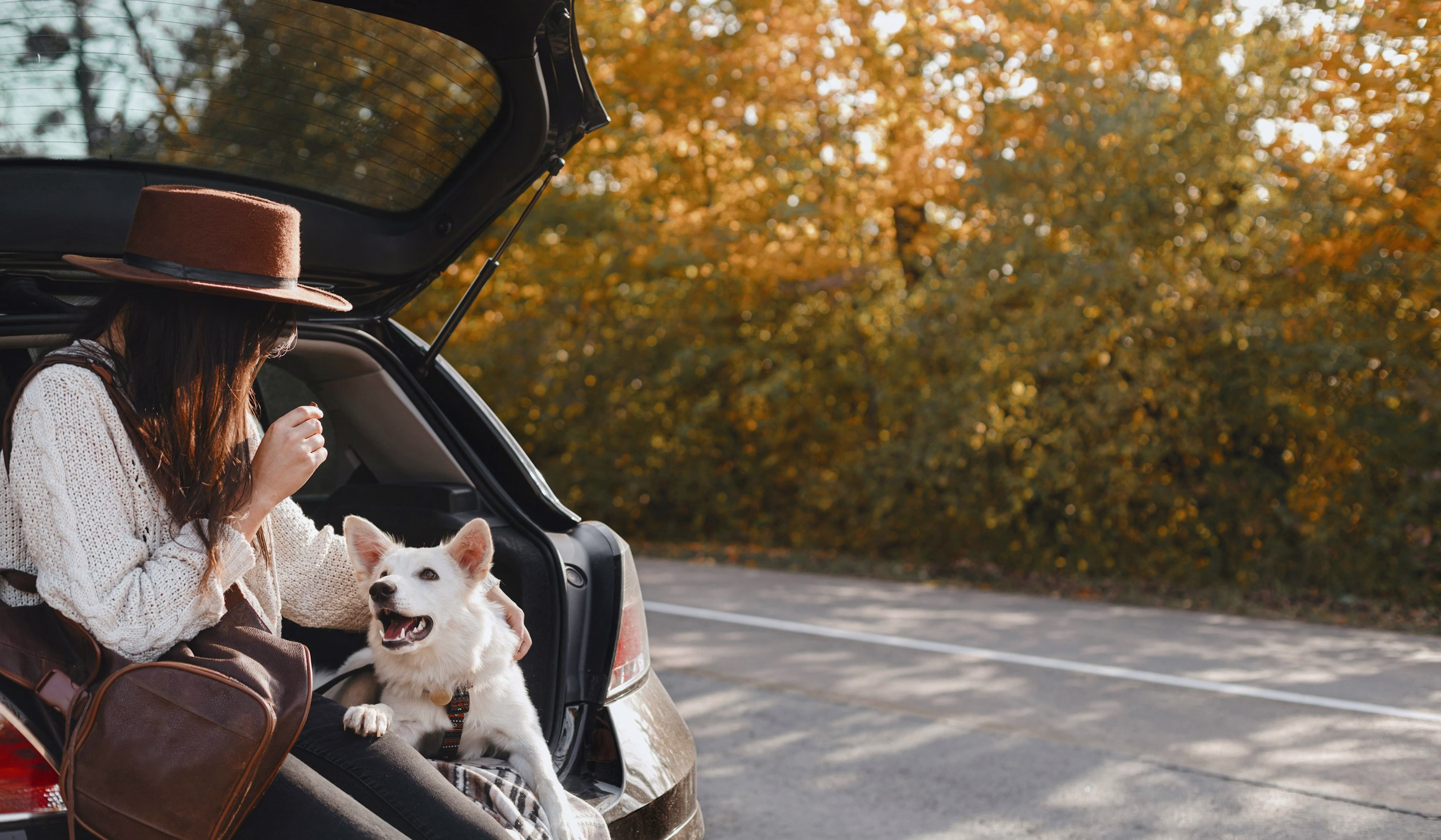 Ilgalaikė automobilių nuoma